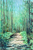 Adele Knowler - Forest Path 1