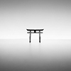 Michael Levin Torii Gate 2/9
