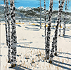 Carole Malcolm - Treescape 10125
