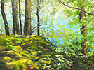 Jana Milne Salt Spring Shore
